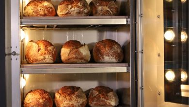 rise of micro bakery ovens big potential
