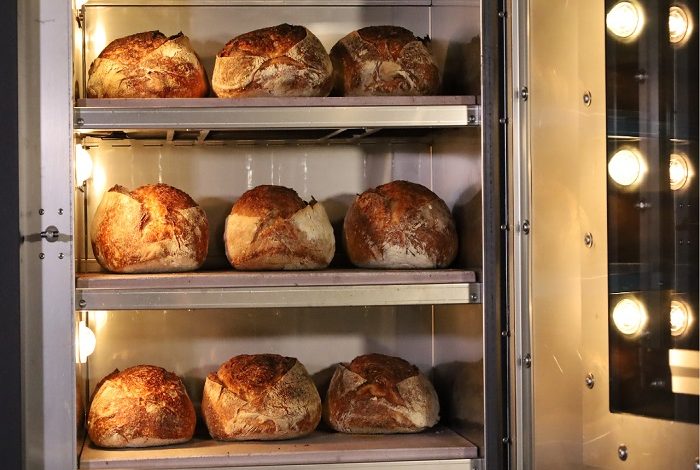 rise of micro bakery ovens big potential