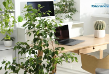 Screenshot 2025 12 30 144534