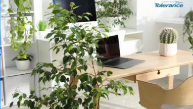 Screenshot 2025 12 30 144534