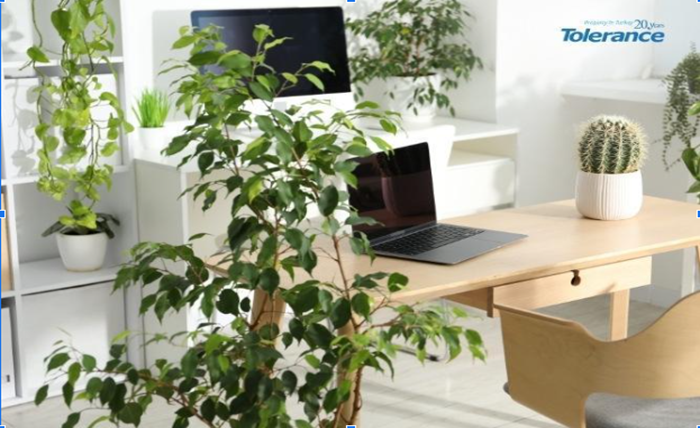 Screenshot 2025 12 30 144534