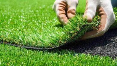 How to Create the Perfect Backyard Space for Golf Practice